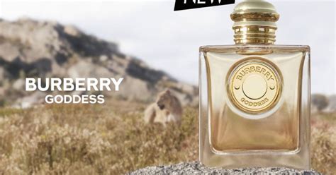 my burberry perfume free sample|free perfume vial samples.